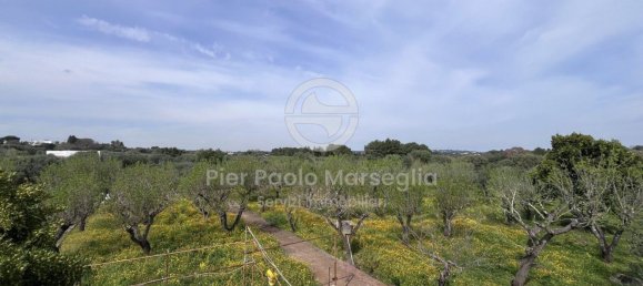 3 rooms House in Ostuni, Italy No. 290085 16