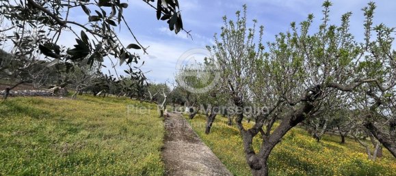 3 rooms House in Ostuni, Italy No. 290085 8
