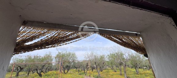 3 rooms House in Ostuni, Italy No. 290085 10