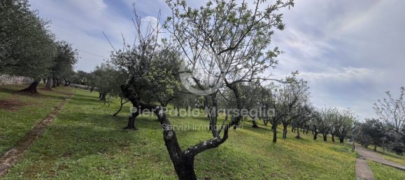 3 rooms House in Ostuni, Italy No. 290085 14