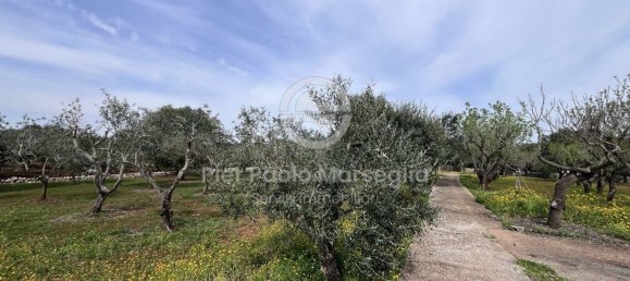 3 rooms House in Ostuni, Italy No. 290085 6