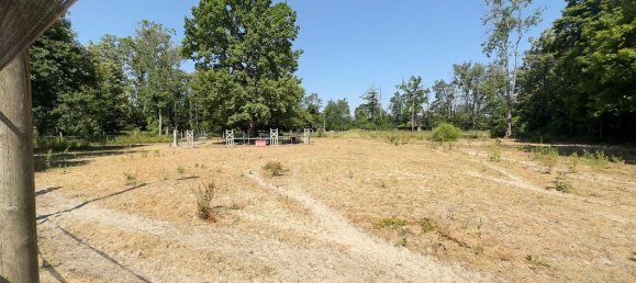 5 bedrooms House in Montigny-sur-Loing, France No. 191577 9