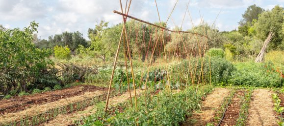 4 bedrooms House in Llubi, Spain No. 165775 12