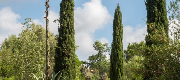 4 bedrooms House in Llubi, Spain No. 165775 29