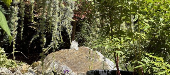 Casa de 4 habitaciónes en Liesing, Austria No. 150205 3