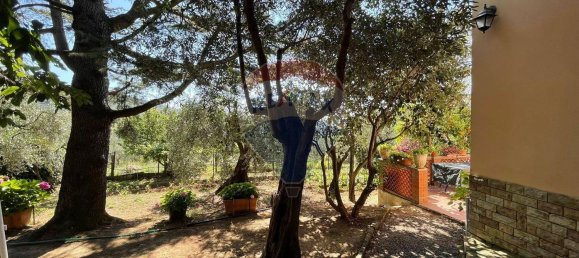 9-salle Maison à Calci, Italy No. 213115 18