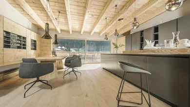 4 Schlafzimmer Penthouse in Mayrhofen, Austria, Nr. 10857