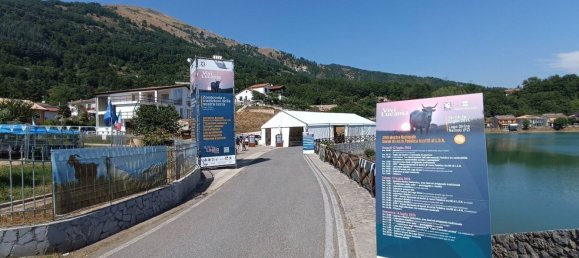 3 rooms Apartment in Rapolla, Italy No. 251163 32