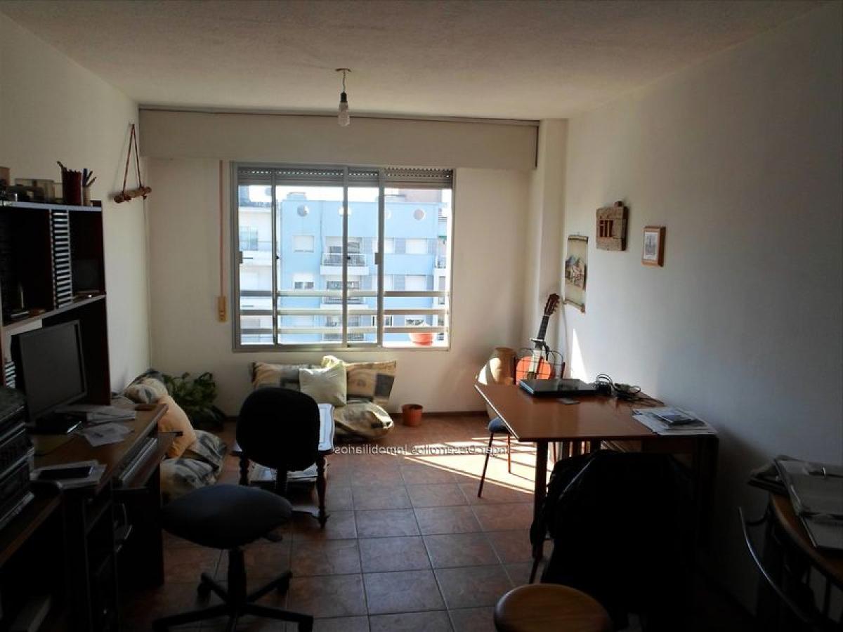 Студия в Монтевидео, Уругвай № 5956