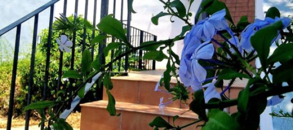 2 Schlafzimmer Doppelhaus in Mijas, Spain, Nr. 283071 13