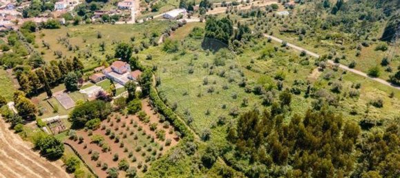Terreno en Condeixa a Nova, Portugal 4960 m² No. 88605 5