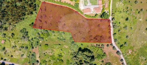 Terreno en Condeixa a Nova, Portugal 4960 m² No. 88605 4