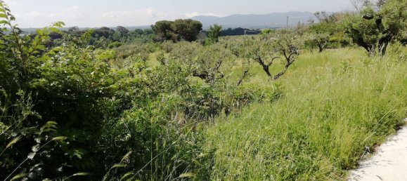 Земельный участок 9600м² в Поли, Италия № 256853 4