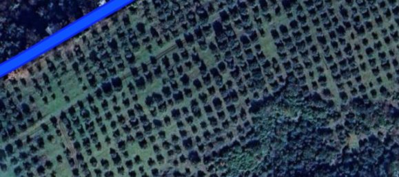 Земельный участок 9600м² в Поли, Италия № 256853 7