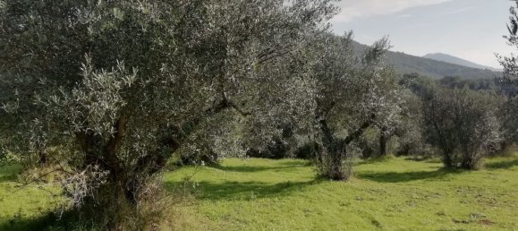 Земельный участок 9600м² в Поли, Италия № 256853 3