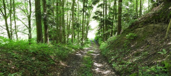 5 bedrooms Castles in Michelbach, Austria No. 172643 38