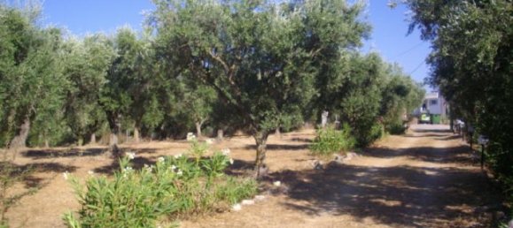 5 bedrooms Commercial property in Zakynthos, Greece No. 649 15