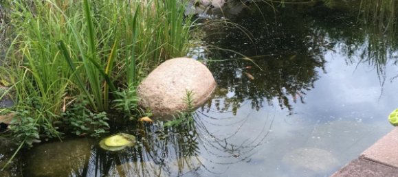  Land in Mahlsdorf, Germany No. 30458 2