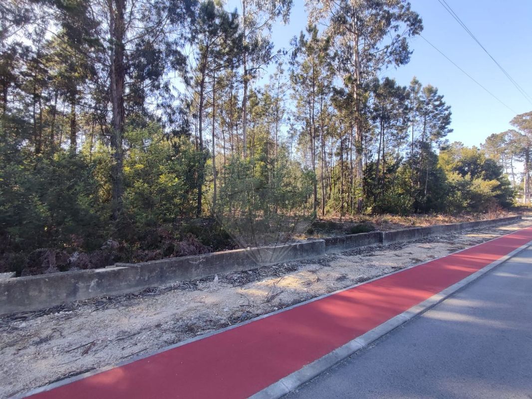  Land in Vagos, Portugal No. 63021