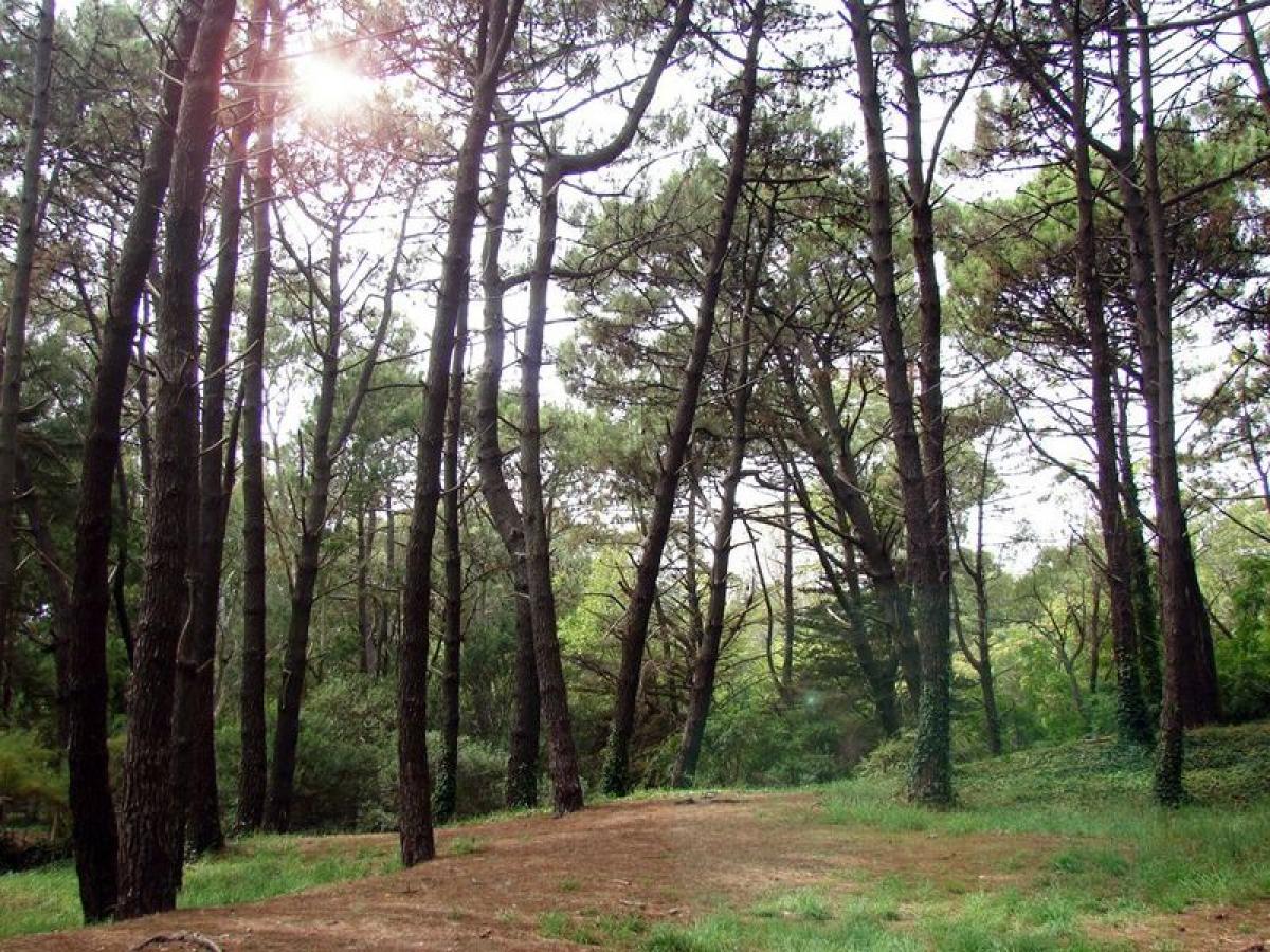  Commercial property in Mar del Plata, Argentina No. 107140