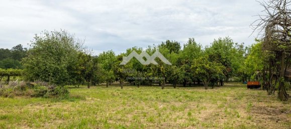 9 Schlafzimmer Haus in Santo Tirso, Portugal, Nr. 47763 16