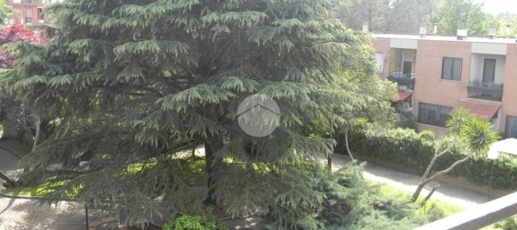 2-Zimmer Wohnung in Rome, Italy, Nr. 16900 3