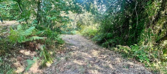 4 غرف نوم منزل في Arcos de Valdevez, Portugal رقم 22969 5