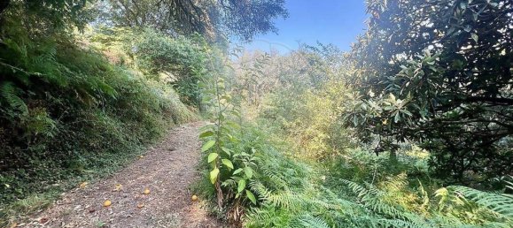 4 غرف نوم منزل في Arcos de Valdevez, Portugal رقم 22969 7