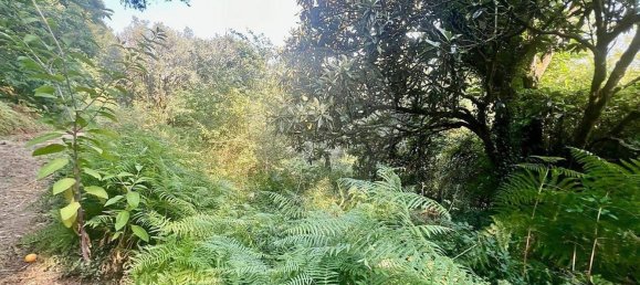 4 غرف نوم منزل في Arcos de Valdevez, Portugal رقم 22969 6