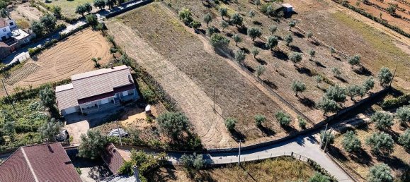  قطعة أرض في Sao Martinho da Cortica, Portugal 2520متر مربع رقم 179409 14