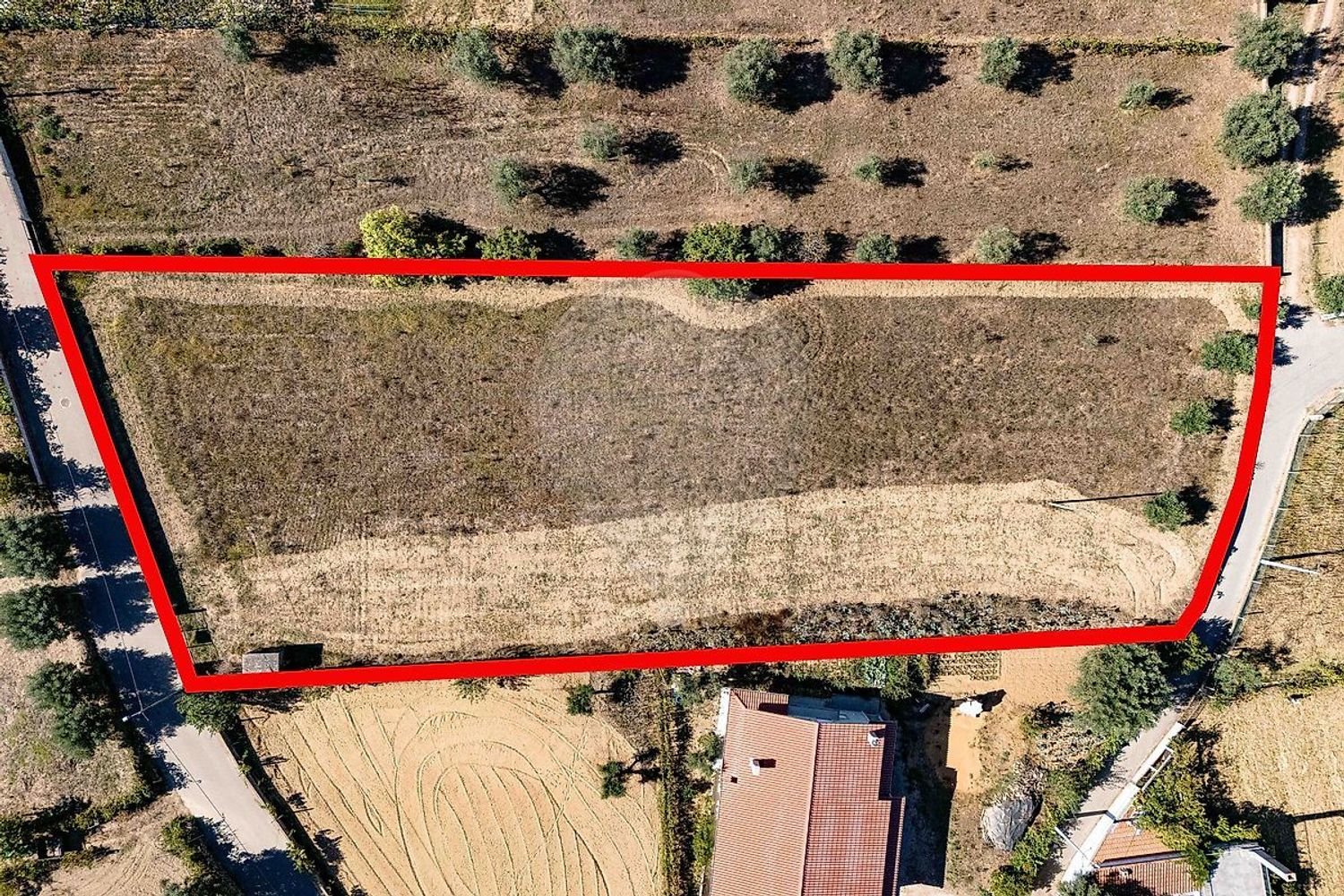  قطعة أرض في Sao Martinho da Cortica, Portugal 2520متر مربع رقم 179409