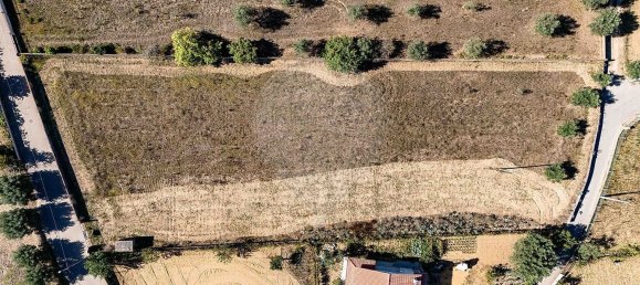  قطعة أرض في Sao Martinho da Cortica, Portugal 2520متر مربع رقم 179409 2