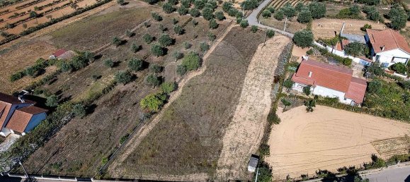  قطعة أرض في Sao Martinho da Cortica, Portugal 2520متر مربع رقم 179409 13