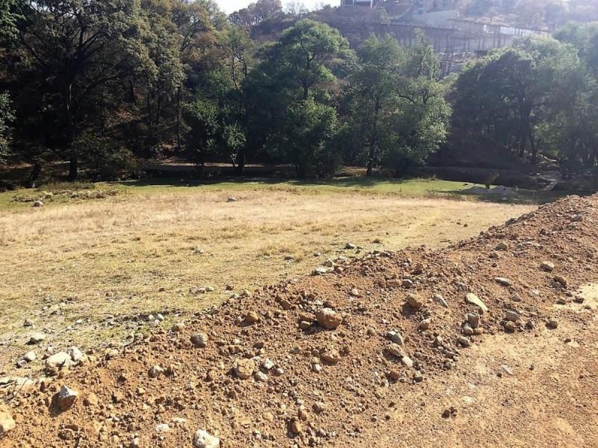 Terrain à Ciudad Lopez Mateos, Mexico No. 205886