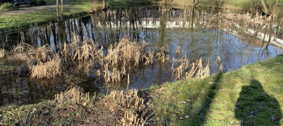 2-Zimmer Wohnung in Bremen, Germany, Nr. 311620 4