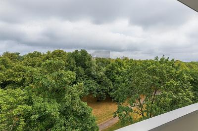 4-salle Appartement à Leipzig, Germany No. 349143