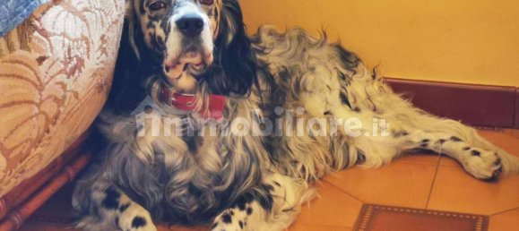 4 chambres Villa à Rubiana, Italy No. 347057 13