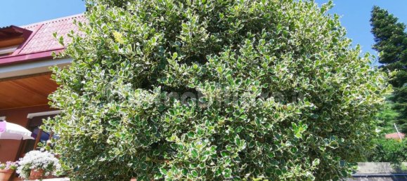 4 chambres Villa à Rubiana, Italy No. 347057 7