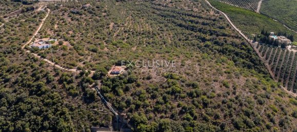  قطعة أرض في Silves, Portugal 218020متر مربع رقم 122226 13