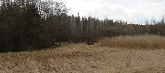 Terreno en Vitis, Austria No. 150856 7