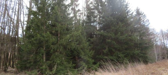 Terreno en Vitis, Austria No. 150856 4