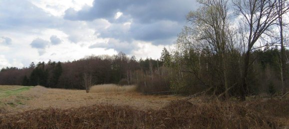 Terreno en Vitis, Austria No. 150856 8