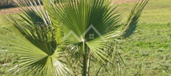 4 bedrooms Villa in Lourinha, Portugal No. 141751 3