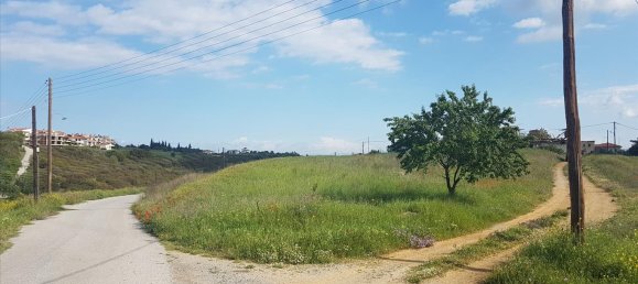 1650m² Hotel in Thessaloniki, Greece No. 4967 2