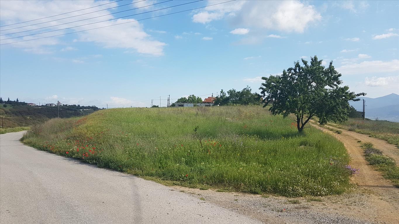 1650m² Hotel in Thessaloniki, Greece No. 4967