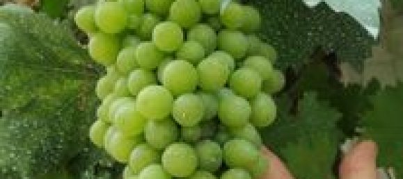 Casa T6 em Sens, France N.º 359724 16