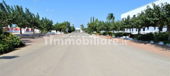 Вилла с 5 спальнями в Porto Cesareo, Италия № 302442 28