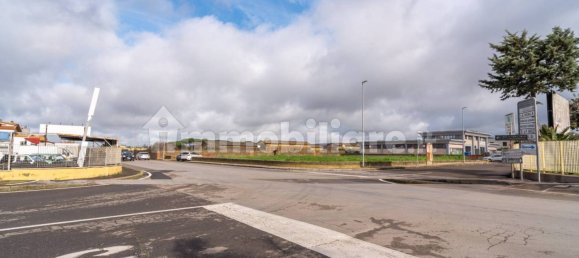 2-Zimmer Gewerbliche Immobilie in Tarquinia, Italy, Nr. 222171 15