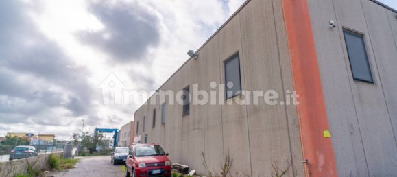 2-Zimmer Gewerbliche Immobilie in Tarquinia, Italy, Nr. 222171 2