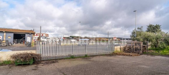 2-Zimmer Gewerbliche Immobilie in Tarquinia, Italy, Nr. 222171 14